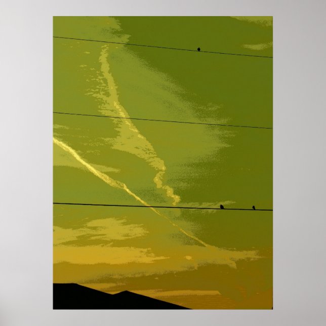 Pôster Aves Ao Sol (Frente)