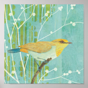 Poster Aves canoras do céu azul