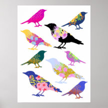 Aves Coloridas Flores Deixam Animais Fleais Chic