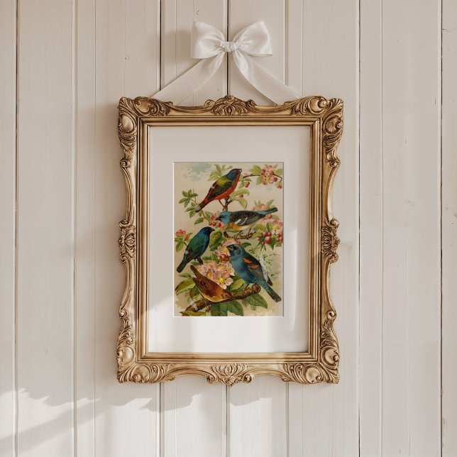 Poster Aves da América do Norte | Gustav Mü tzel (Criador carregado)