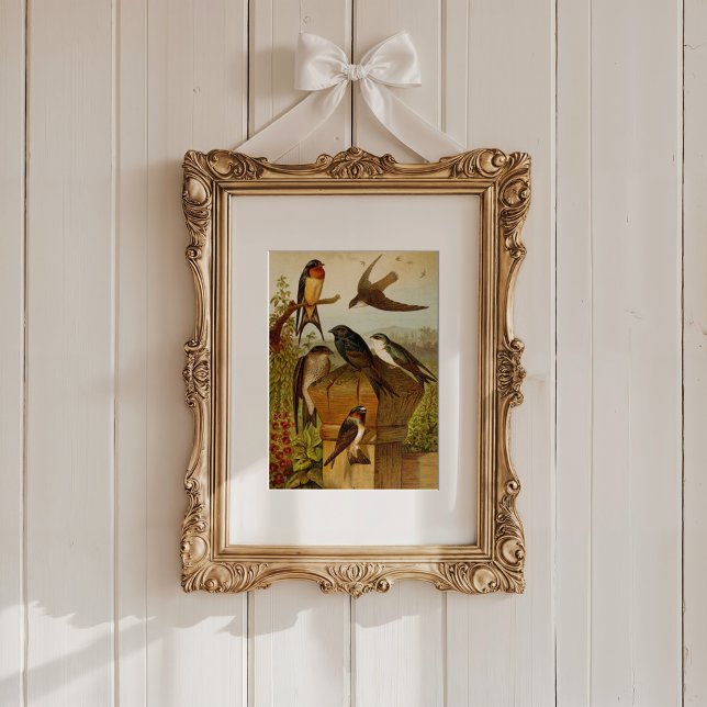 Poster Aves da América do Norte | Gustav Mü tzel (Criador carregado)