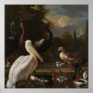 Pôster Aves de arte