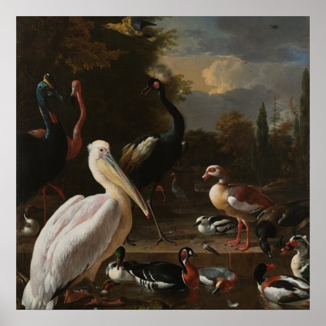 Pôster Aves de arte (Frente)