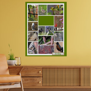 Poster Aves de Boston