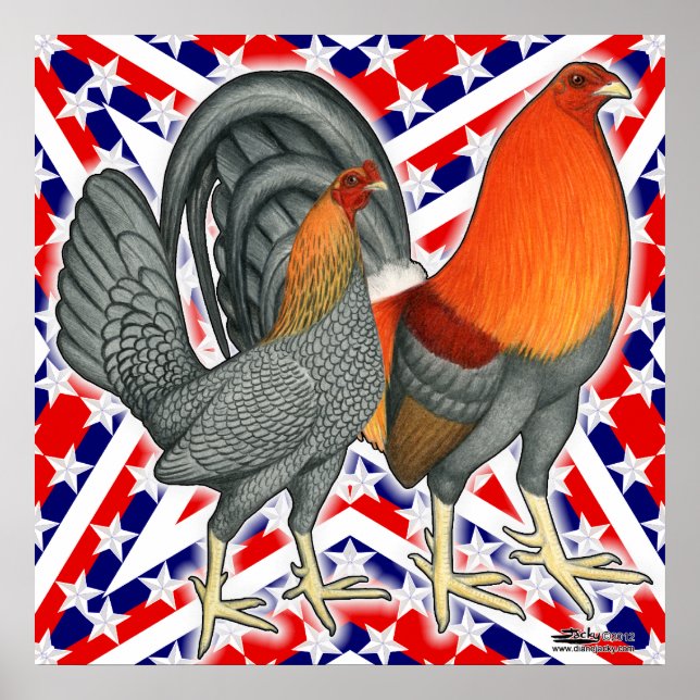 Poster Aves de Briga Estrelas e Listras (Frente)