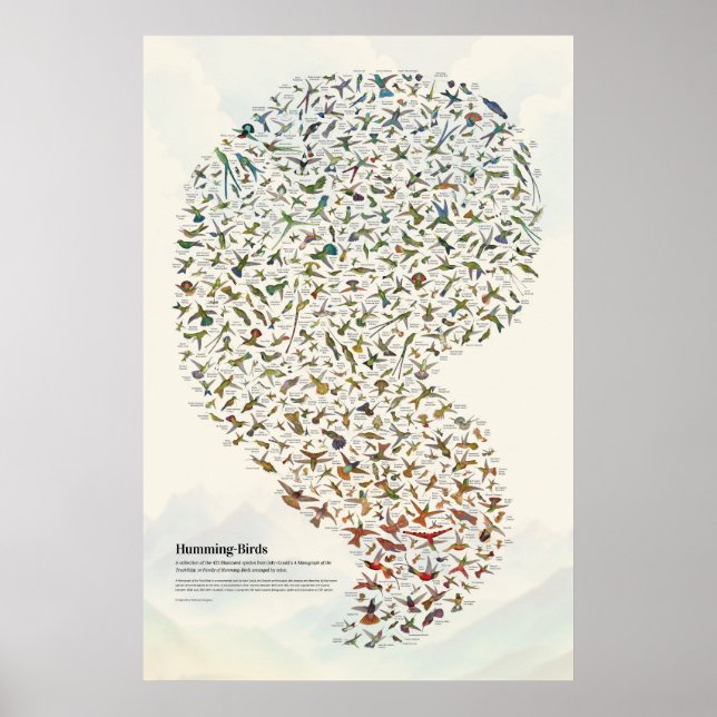 Poster Aves de caça - Luz (Frente)