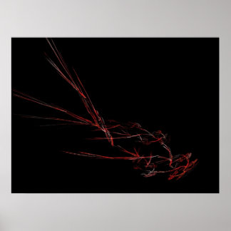 Pôster Aves de capoeira