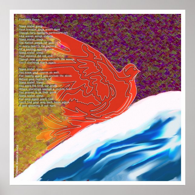 Pôster Aves de capoeira para baixo (Frente)