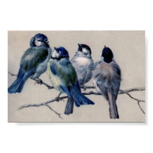 Aves de Cinza Azuis em uma Ramificação por Hector