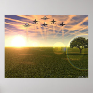 Pôster Aves De Pera