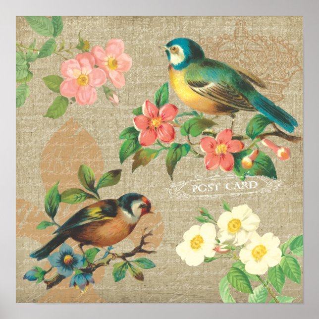 Poster Aves de Vintagem Russas e Flores Shabby Elegance (Frente)