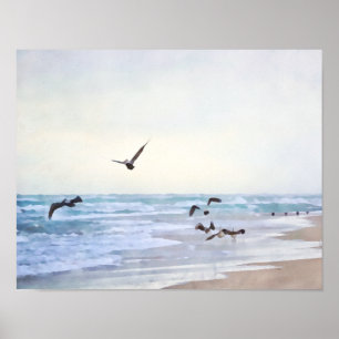 Poster Aves do Mar Pacíficas no Estilo de Água da Costa