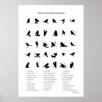Aves do Noroeste (com nomes)