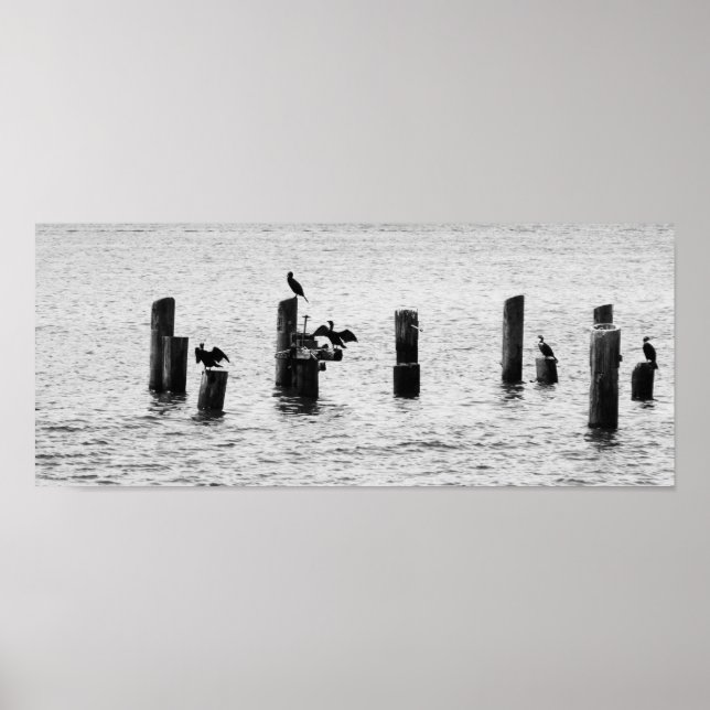 Poster Aves do Porto de Boston (Frente)