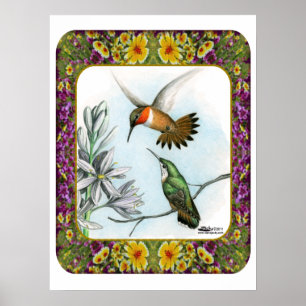 Poster Aves e Flores Hummingbird 2