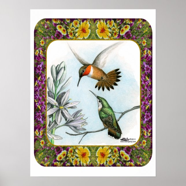 Poster Aves e Flores Hummingbird 2 (Frente)