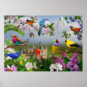 Poster Aves e flores Imagem linda com pássaros