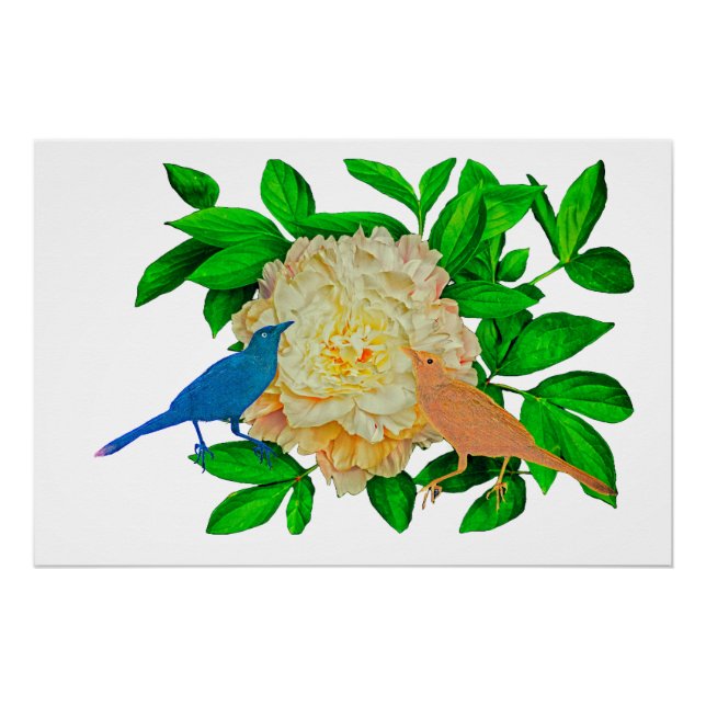 Pôster Aves e Poster de flores (Frente)