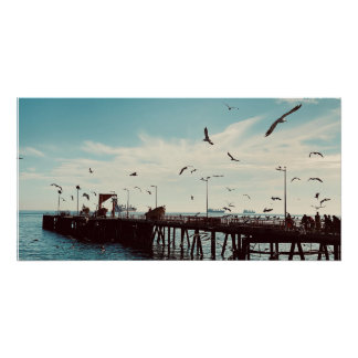 Pôster Aves Marinhas Sobre o Pier