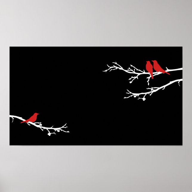 Pôster aves mods (Frente)