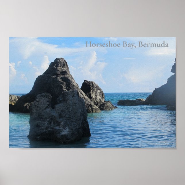 Poster Aves na Baía de Ferradura, Bermudas (Frente)
