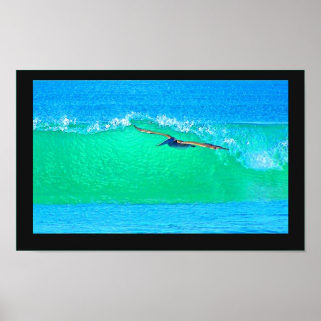 Poster Aves Pelicanas Animais Selvagens (Frente)