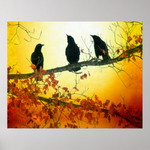 Poster Aves Selvagens