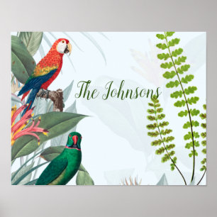 Poster Aves Tropicais 