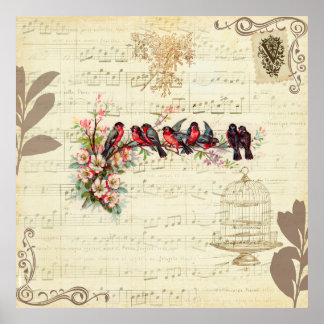 Pôster Aves Vintage