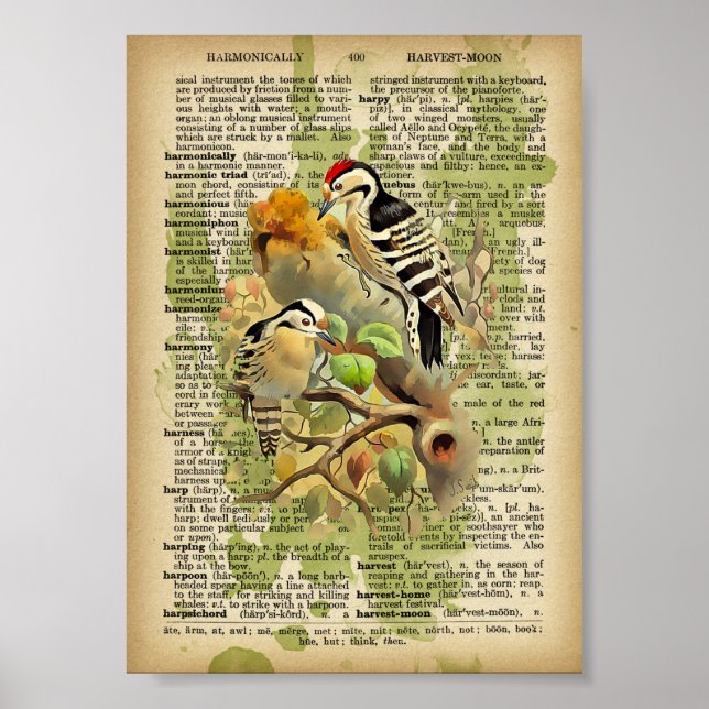 Poster Aves Vintage (Frente)