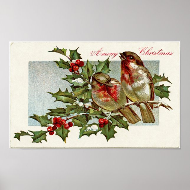 Poster Aves Vintage e Holly (Frente)