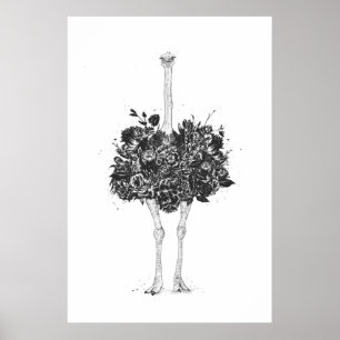 Pôster Avestruz floral