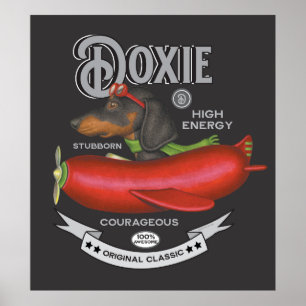 Poster Avião De Cheiro-Chato-De-Chouriço