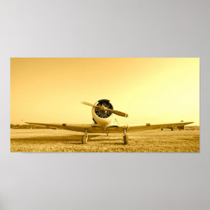 Poster Avião Vintage de Motor Único Dourado Aeronaves Ant