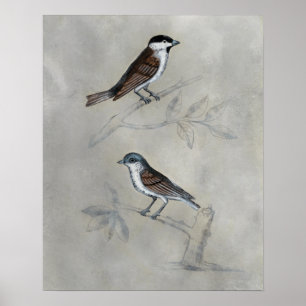 Poster Aviário Silvered Um Par De Aves