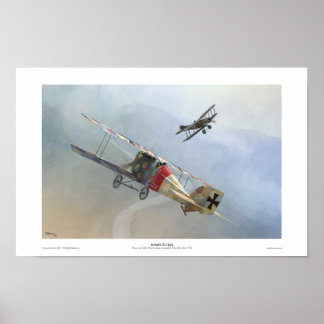 Pôster Aviatik D.I