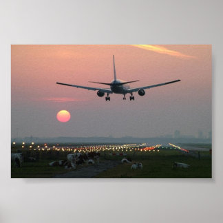 Poster Aviões e Vacas