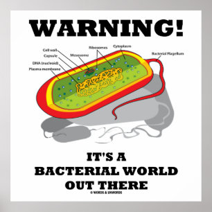 Poster Aviso! É um mundo bacteriano lá fora
