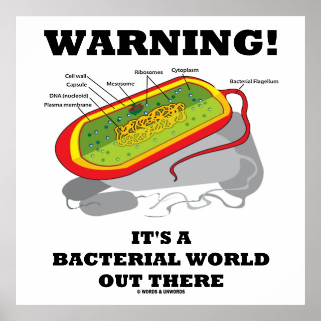Poster Aviso! É um mundo bacteriano lá fora (Frente)