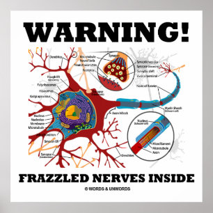 Pôster Aviso! Nervos Frazzled dentro da sinapse do