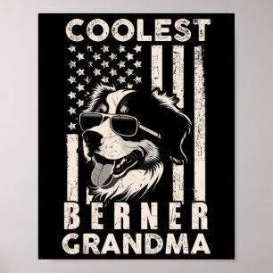 Poster Avó Berner Mais Legal Bandeira Americana Vintage E