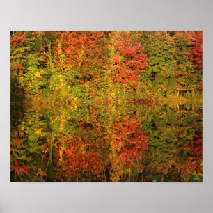 Pôster Awesome Autumn Reflections Nature