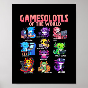 Poster Axolotes Gamer Diversos Do Mundo Axolote Ani