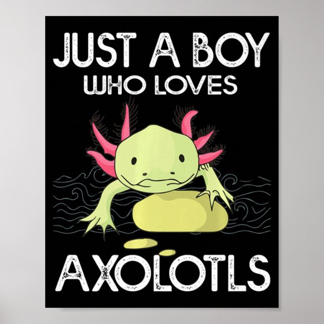 Poster Axolotl Gift Anime Japonês Apenas Um Menino Que Am (Frente)