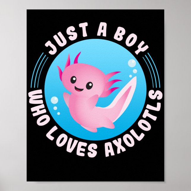 Poster Axolotl Lover Apenas Um Menino Que Ama Axolotls Ka (Frente)