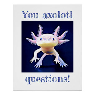 Pôster Axolotl Salamander Amphiber Poster