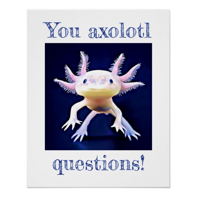 Pôster Axolotl Salamander Amphiber Poster (Frente)