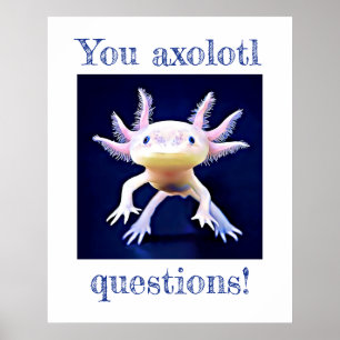 Poster Axolotl Salamander Amphibian