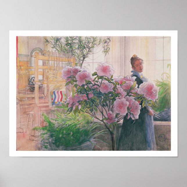 Poster Azalea, 1906 (c/c no papel) (Frente)