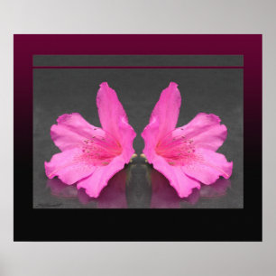 Pôster Azalea Mirrored Print -24x20 -other sizes also